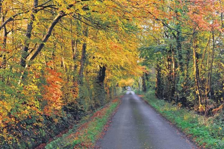 Greenway Guesthouse Mullingar Eksteriør billede