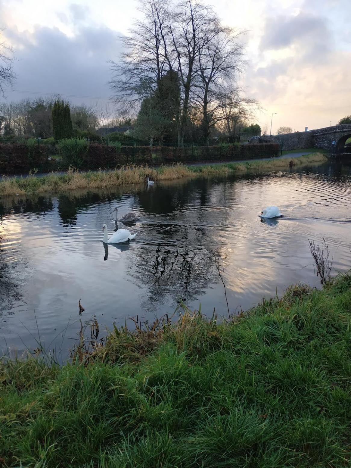 Greenway Guesthouse Mullingar Eksteriør billede